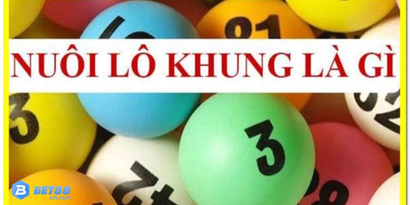 Khái niệm nuôi lô khung là gì?