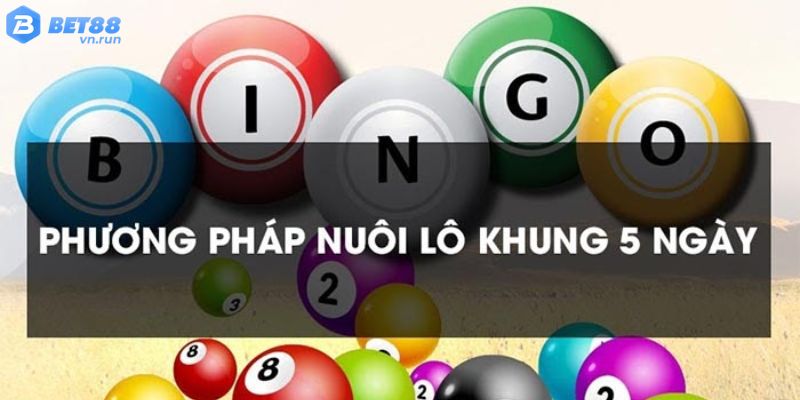 Nuôi lô theo khung 5 ngày